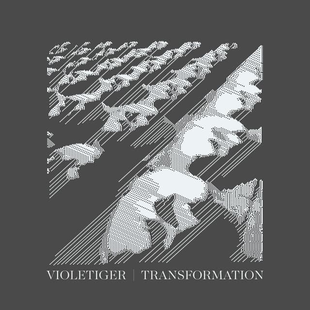 Violetiger