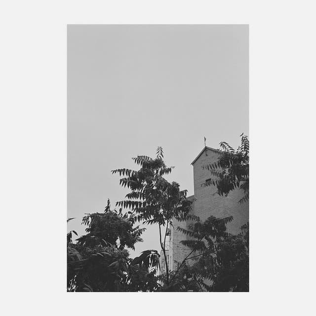 In a Lonely Place