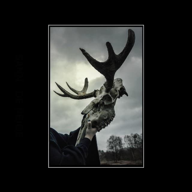 Sanne de Neige