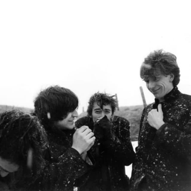 The Chameleons